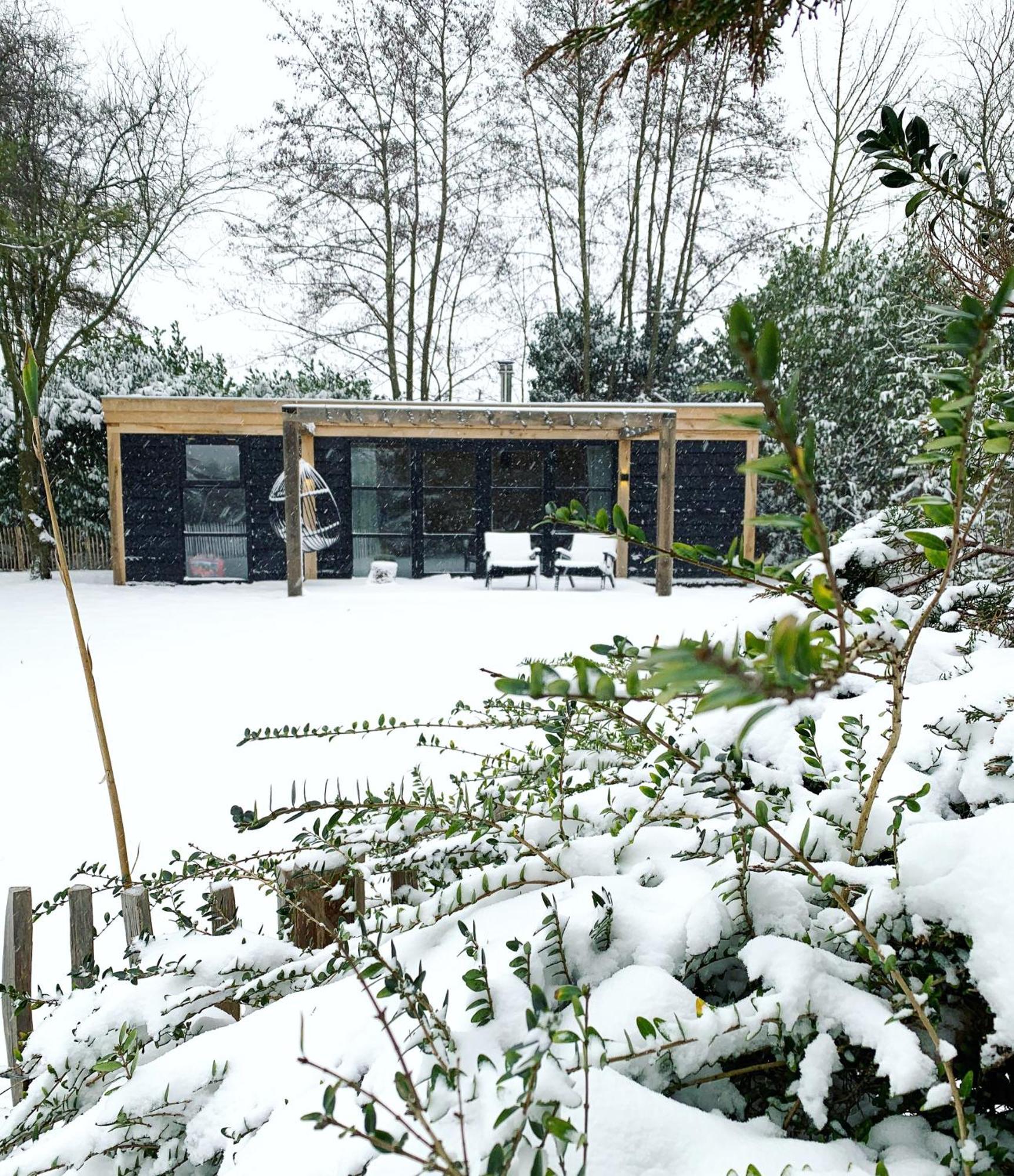 Hoogtij°D Bed & Breakfast Oostvoorne Exterior foto